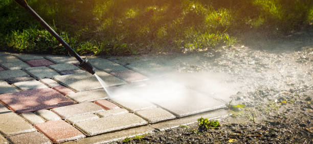 Best Gutter Cleaning  in Jackson, AL
